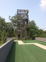 Meadows @ Peirce (D26), Condominium #198976672